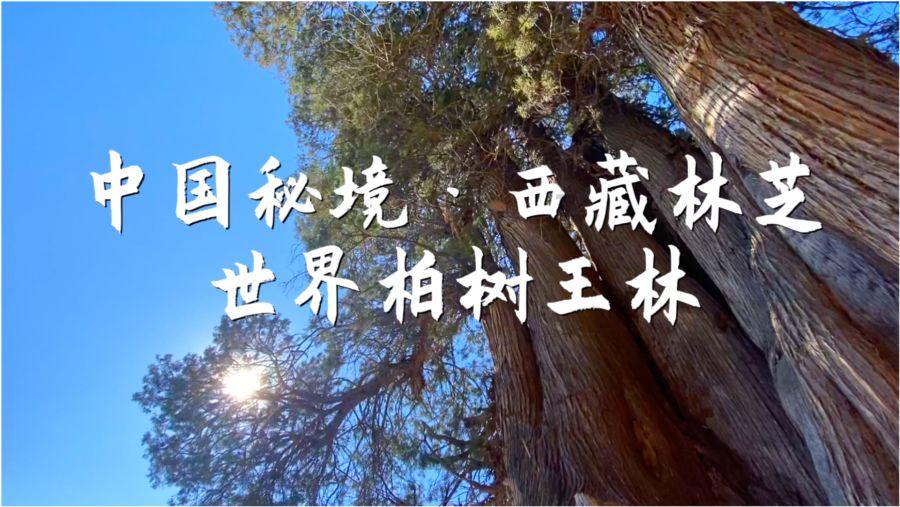 电动车佩戴的头盔有什么具体的要求？游戏画面